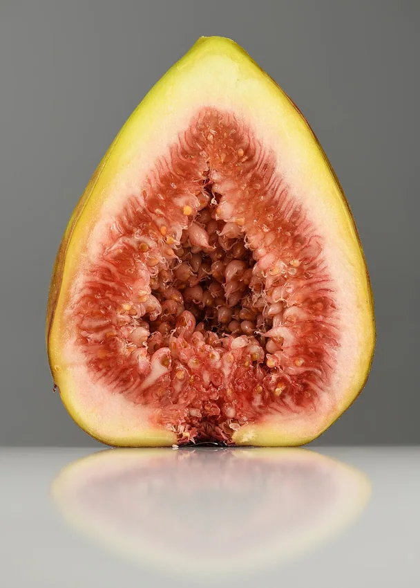 Figue commune (Ficus carica) ouverte, montrant sa chair