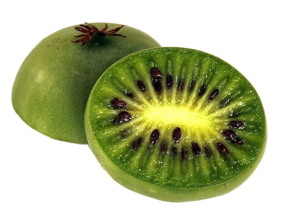 Petit kiwi ou kiwaï (Actinidia arguta), fruit coupé montrant sa chair