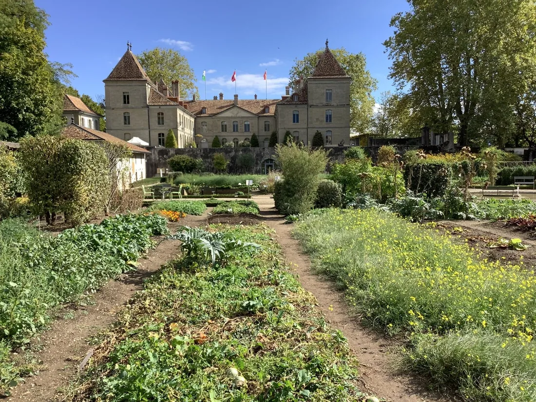 Le potager du château de Prangins dans son état contemporain ; ne pas confondre avec une photographie du XVIIIe siècle.